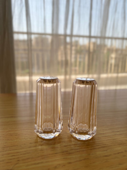 Salt and pepper shakers