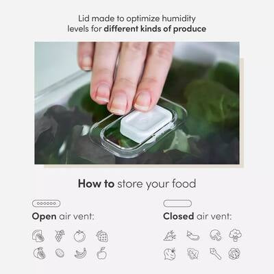 Fridge organizer